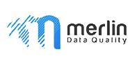 Logo Merlin Data Quality